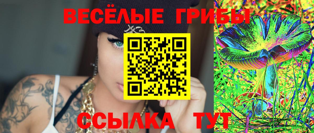 Псилоцибиновые грибы прущие грибы Лениногорск