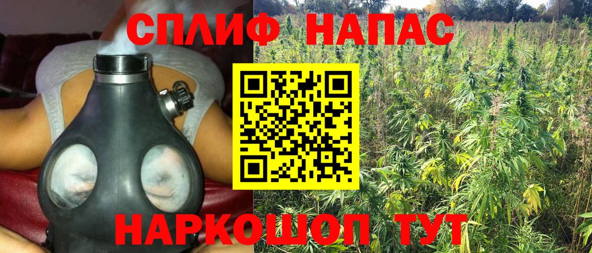 Каннабис планчик  Бошки Шишки AK-47  Канабис MAZAR  Вход с VPN  Лениногорск  Каннабис White Widow 